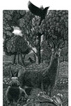 Andy English Prints