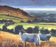 Janet Mary Robinson Paintings