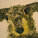 Sonia Rollo Prints